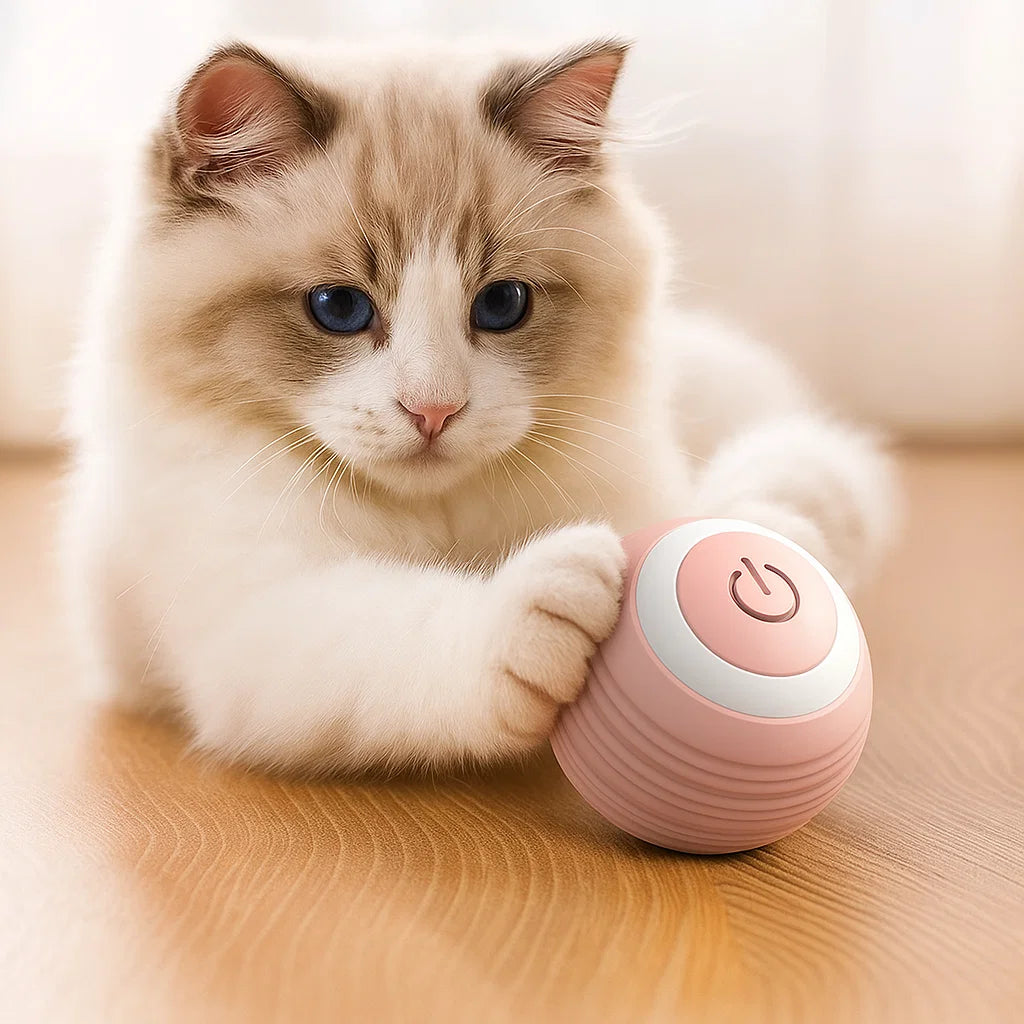 GatoSphere™ Pro