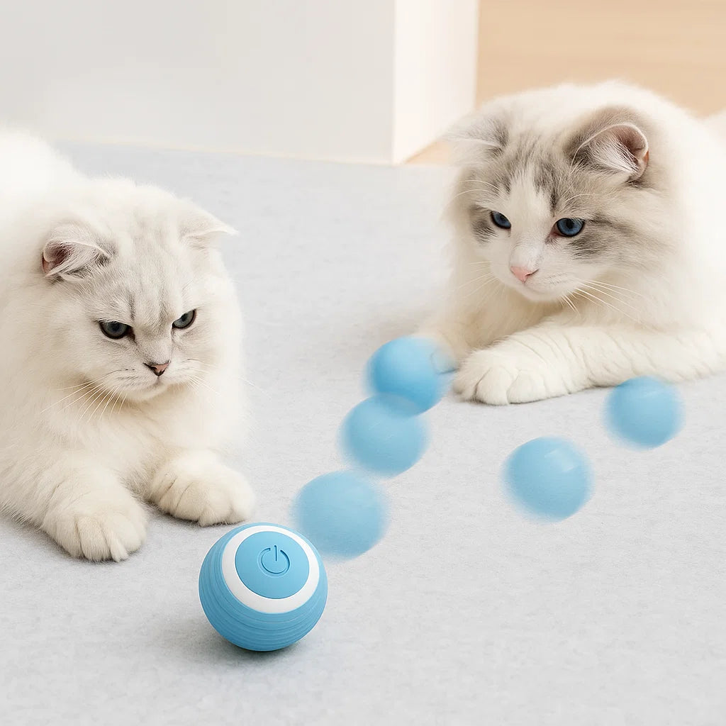GatoSphere™ Pro